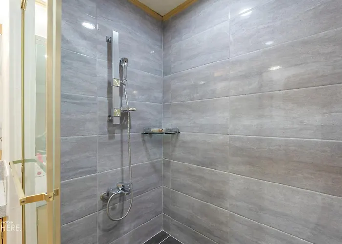 Lovely Hongik Univ Stn Vol 24 Apartment Seoul
